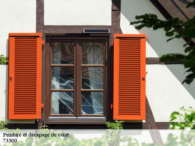 Peinture et décapage de volet 73300